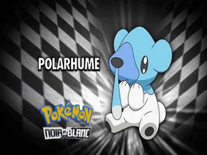 Épisode 703 - Pokémon inconnu révélé.png