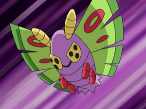 AG106 - Papinox de Jessie.png