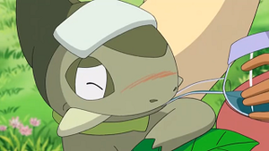 NB032 - Coupenotte d'Iris.png