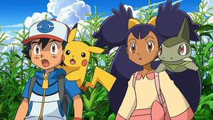 NB099 - Pikachu de Sacha et Coupenotte d'Iris.png