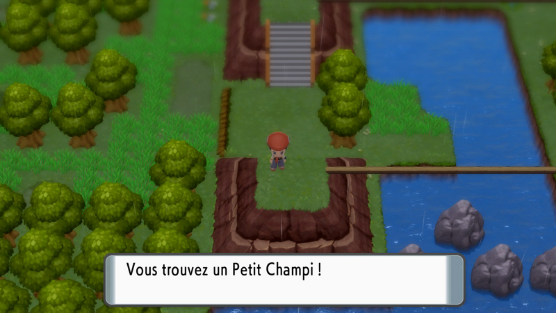 Fichier:Route 212 Petit Champi DEPS.png