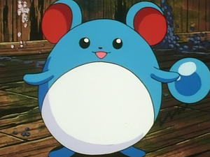 EP095 - Marill de Jacky.png