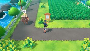 Expert Rhinocorne.jpg