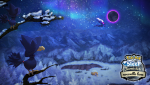Journée de la nouvelle lune (hiver) Sleep.png