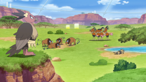 LH116 - Vaututrice, Tauros, Dodrio et Mascaïman.png