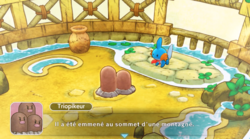 Triopikeur entre dans la maison du joueur.