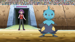 NB071 - Mateloutre de Bérénice.png