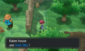 Route Victoire Huile Max XY.png