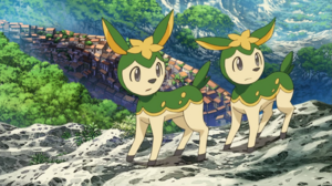 Vivaldaim sauvages Film 14.png