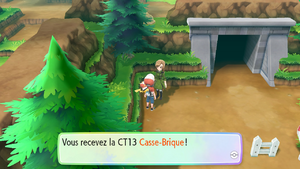 CT13 Casse-Brique (Route 10).png