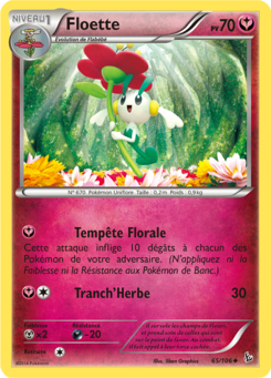 Floette (XY Étincelles 65)