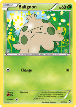 Balignon (XY Poings Furieux 6)