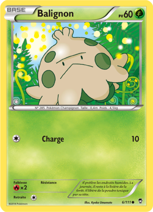 Carte XY Poings Furieux 6.png