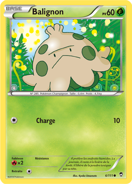 Fichier:Carte XY Poings Furieux 6.png