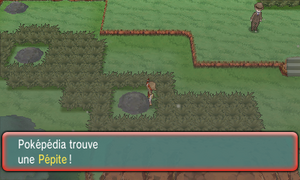 Route 113 Pépite ROSA.png