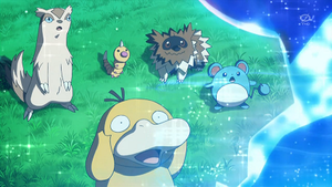 XY068 - Zigzaton (Flash-back).png