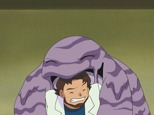 AG133 - Grotadmorv de Sacha.png