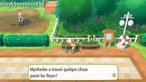 Carmin sur Mer Jolie Aile LGPE.jpg