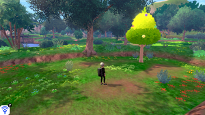 Forêt Flexion Arbre à Baies 2 EB.png