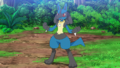 Lucario (de Sacha)