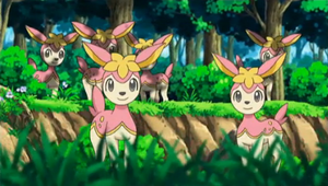 NB001 - Vivaldaim.png