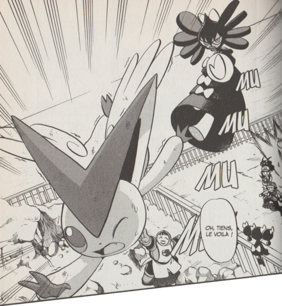 Fichier:PMS480.png