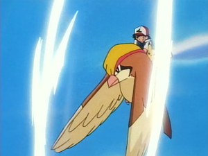 Roucarnage Tornade.png