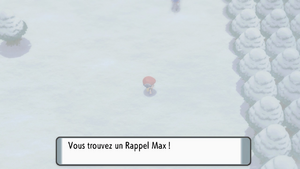 Route 217 Rappel Max DEPS.png