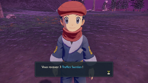 Bivouac des Cimes Truffe Sucrée LPA.png