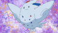 Togekiss (Princesse Salvia ► d'Aurore)