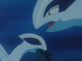 Lugia (sauvage) et Silver (sauvage)