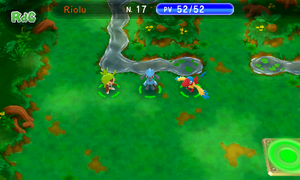 Forêt Mystique PMDM.png