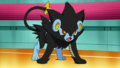 Luxray (de Tanguy)