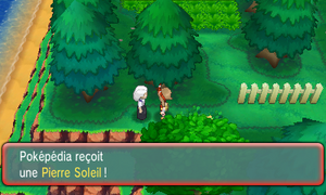 Route 115 Pierre Soleil ROSA.png