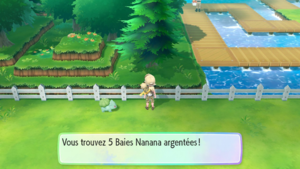 Route 12 Baie Nanana argentée LGPE.png
