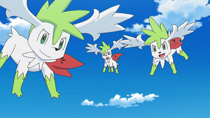 SL146 - Shaymin (Groupe).png