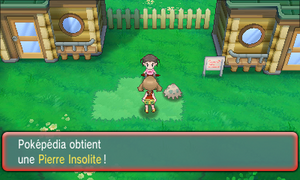 Vergazon Pierre Insolite ROSA.png