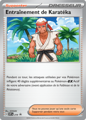 Carte Promo SV 219.png