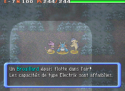Le 7e étage est plongé dans le brouillard.