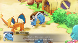 Dracaufeu et Tortank reviennent sur la Place Pokémon blessés.