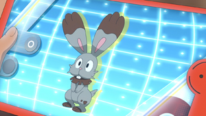 LV042 - Sapereau Pokédex.png