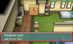 Mérouville Honor Ball ROSA.png