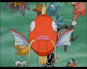 Mini-Film 01 - Intermède Magicarpe et Crustabri.png