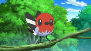 Passerouge de Sacha.png