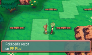 Route 111 PP Plus 3 ROSA.png