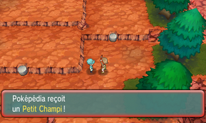 Sentier Sinuroc Petit Champi 2 ROSA.png