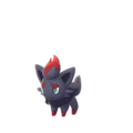 Zorua