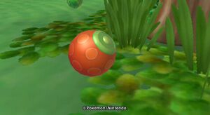 Baie Rouge Poképark 2.JPG