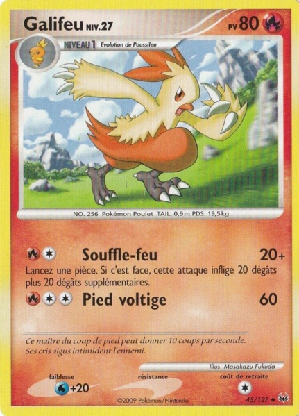 Fichier:Carte Platine 45.png