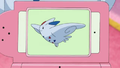 Description de Togekiss dans l'épisode 637.